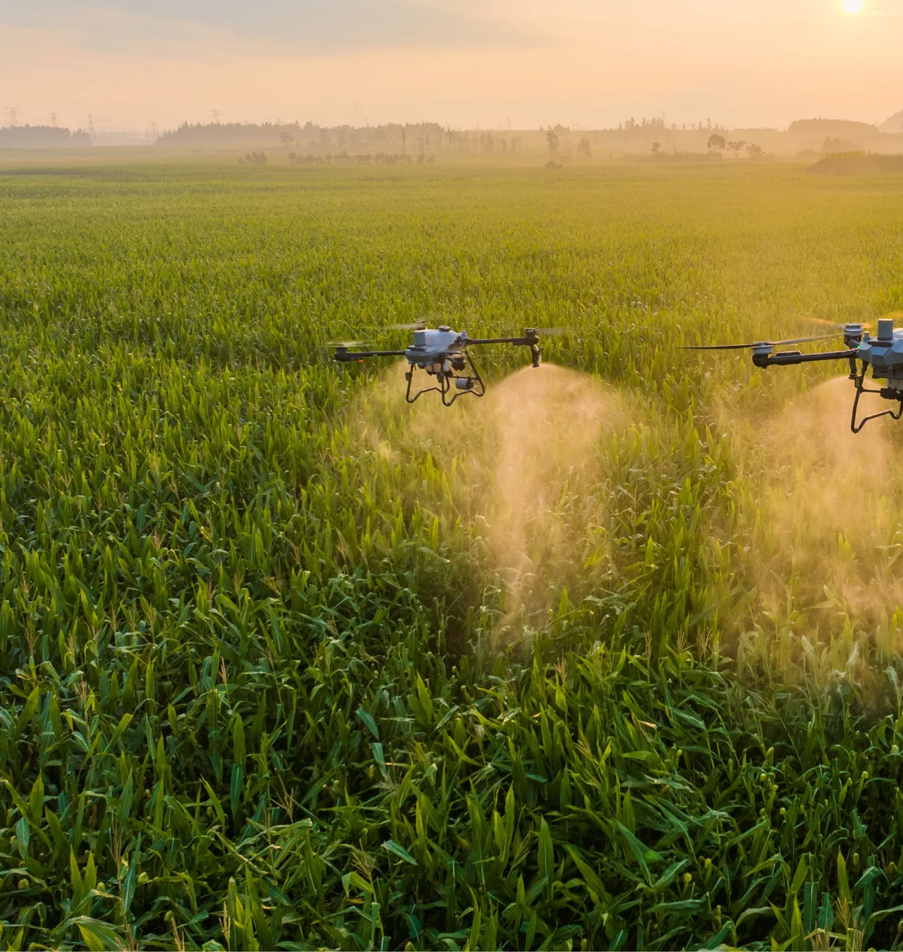 Agricultural drone operation